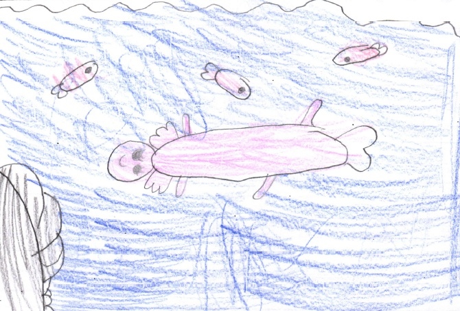 Colored-pencil drawing of a pink axolotl in a blue lake, with smaller axolotls swimming above.