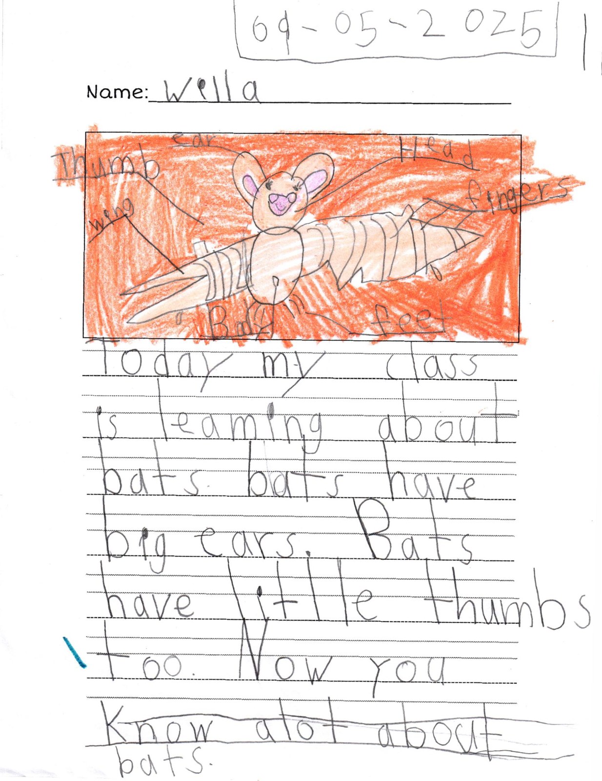 Handwritten classroom report titled All About Bats.