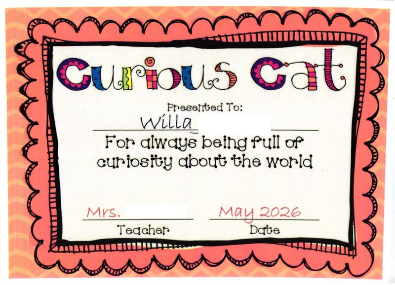 Curious Cat certificate presented to Willa for always being full of curiosity about the world.